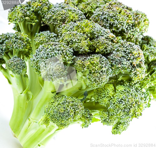 Image of ?urd. Broccoli closeup