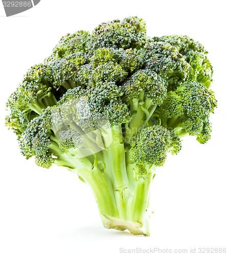 Image of ?urd. Broccoli closeup