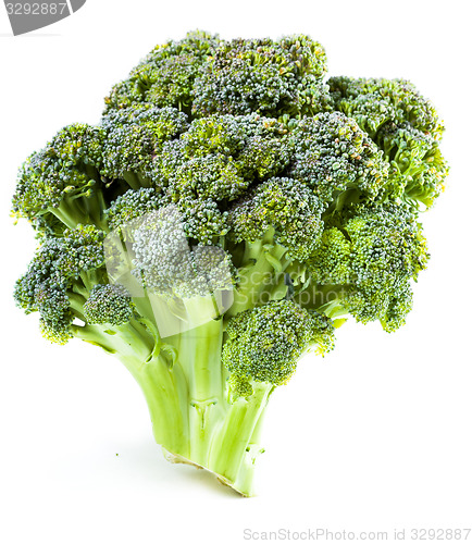 Image of ?urd. Broccoli closeup