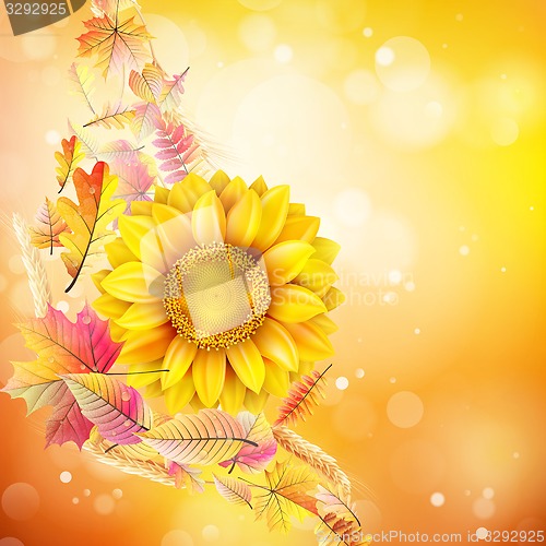 Image of Autumn background with colorful leaves. EPS 10