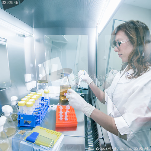 Image of Life scientist researching in the laboratory.