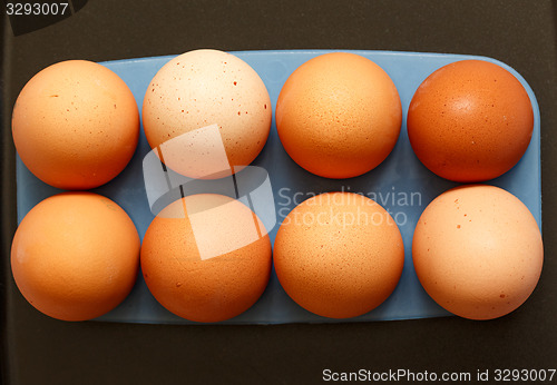 Image of Fresh eggs