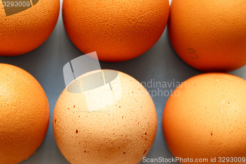 Image of Fresh eggs