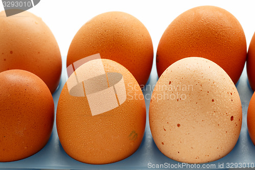 Image of Fresh eggs