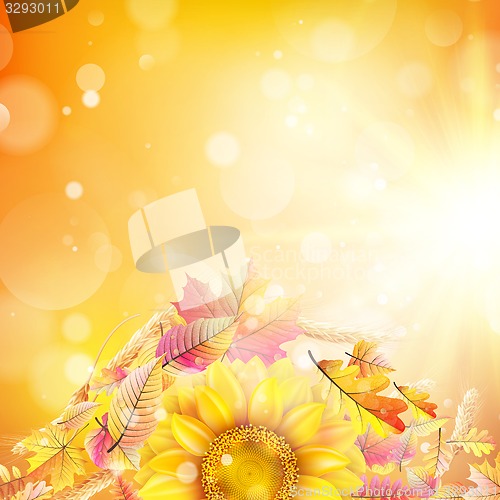 Image of Autumn background with colorful leaves. EPS 10