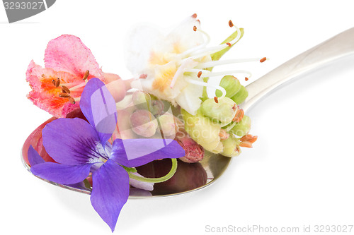 Image of Bach flowers on a spoon