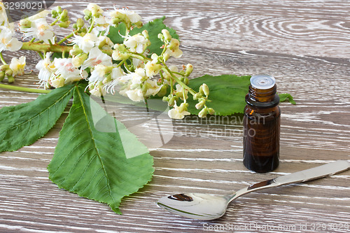 Image of Bach flower remedies of white chestnut