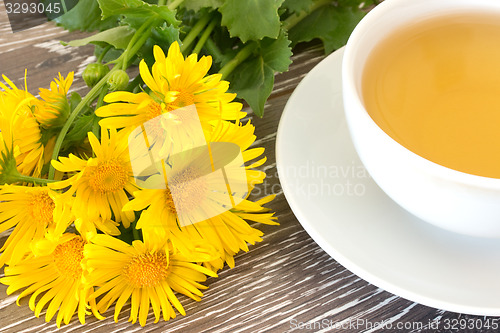 Image of Cough tea with coltsfoot