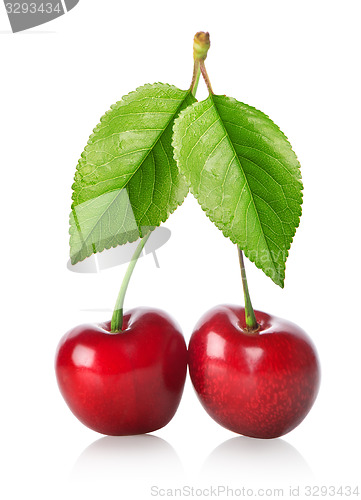 Image of Two cherries isolated