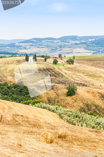 Image of Countryside in Tuscany