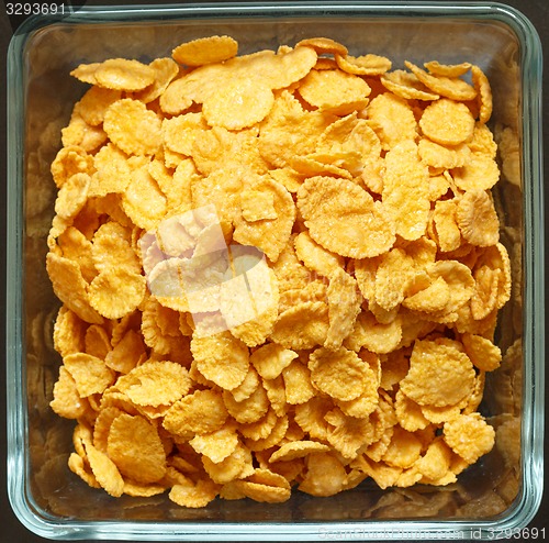 Image of Close up of cornflakes
