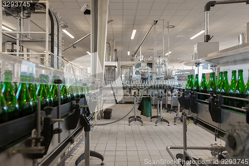 Image of Many bottles on conveyor belt