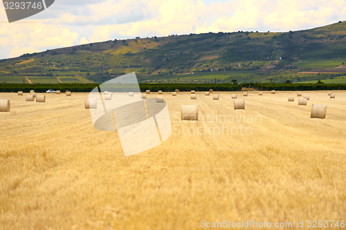 Image of Hay bails on the field