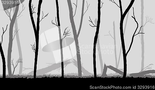 Image of forest in the dark mist, trees silhouettes