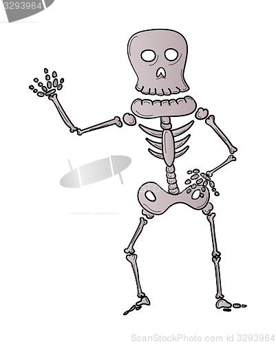 Image of sketch of the skeleton