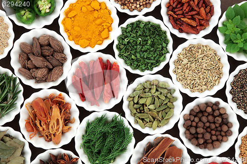 Image of Herb and Spice Food Selection