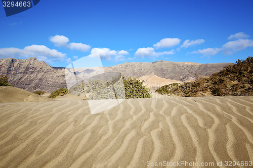 Image of abstract yellow dune beach  hil and mountain in the   lanzarote 