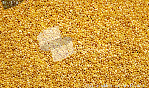 Image of Millet grains background