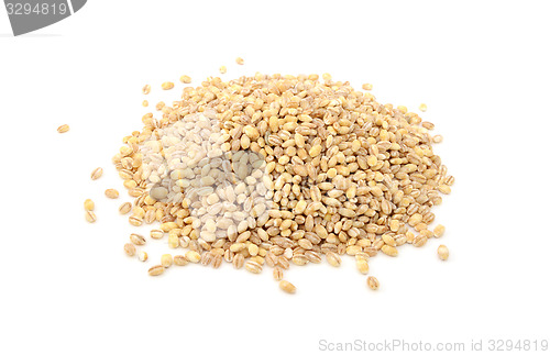 Image of Pearl barley grains