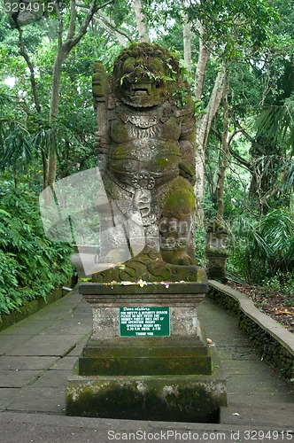 Image of Padangtegal Monkey Forest, famous touristic place in Ubud, Bali Indonesia