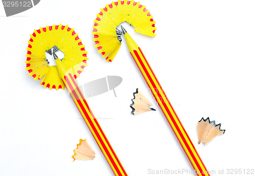 Image of two pencil flowers