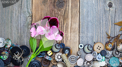 Image of vintage buttons with a geranium flower