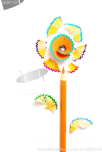Image of one pencil flower