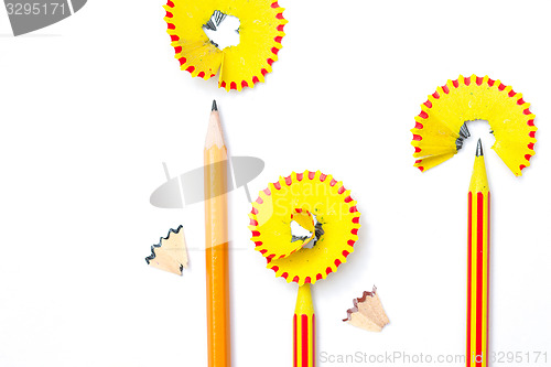 Image of three pencil flowers