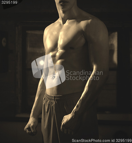 Image of Muscle man torso