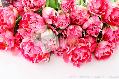 Image of pink tulips