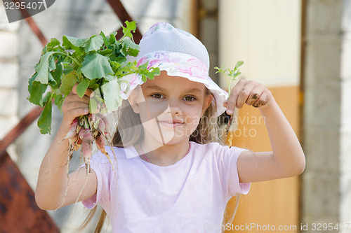 Image of Girl harvest radishes