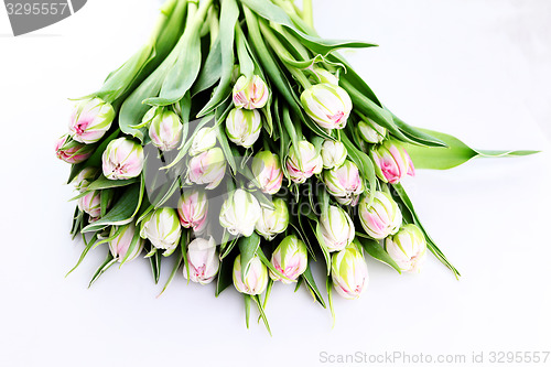 Image of bunch of tulips