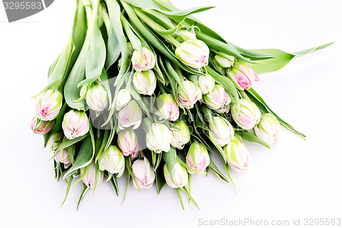 Image of bunch of tulips