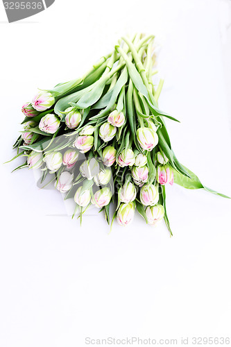 Image of bunch of tulips