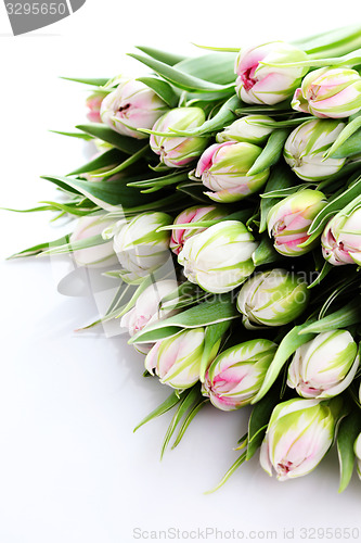 Image of bunch of tulips