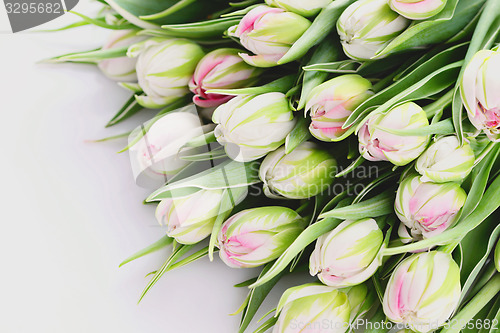 Image of bunch of tulips