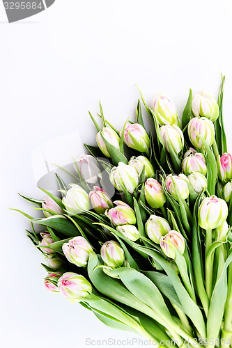 Image of bunch of tulips