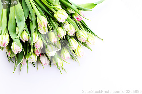 Image of bunch of tulips