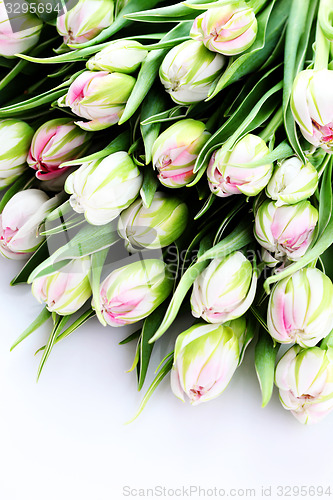 Image of bunch of tulips