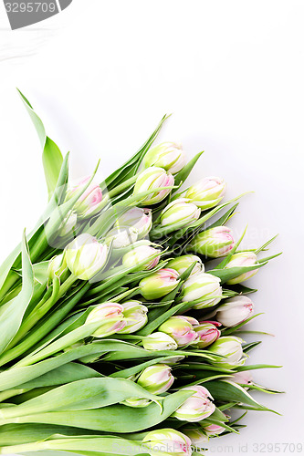 Image of bunch of tulips