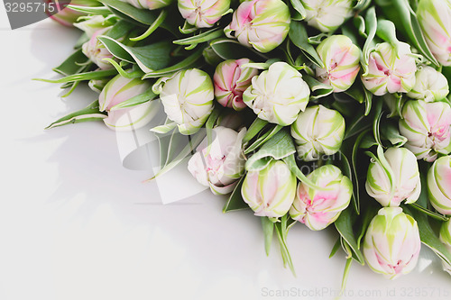 Image of bunch of tulips