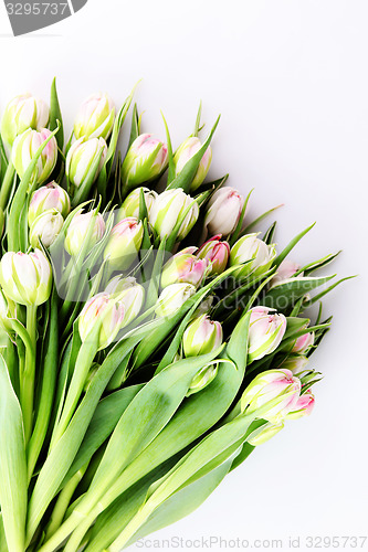 Image of bunch of tulips