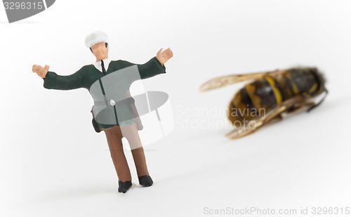 Image of Miniature police officer guarding a crime scene - dead wasp