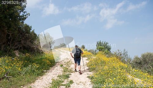 Image of Hiking in nature trail