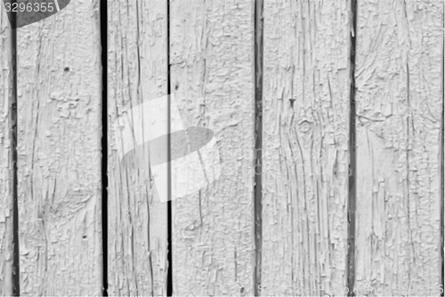 Image of Vector Vintage  White Background Wood Wall