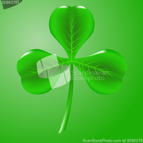 Image of Shamrock