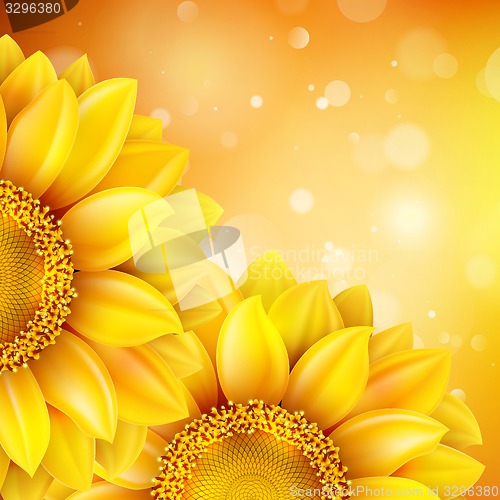 Image of Macro SunFlower Background. EPS 10