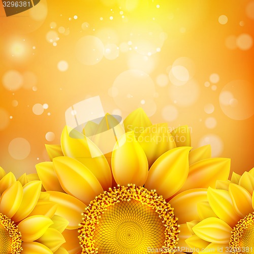 Image of Macro SunFlower Background. EPS 10