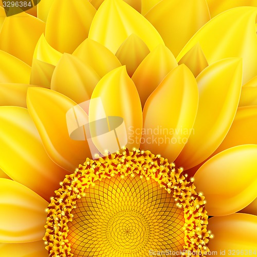 Image of Macro SunFlower Background. EPS 10