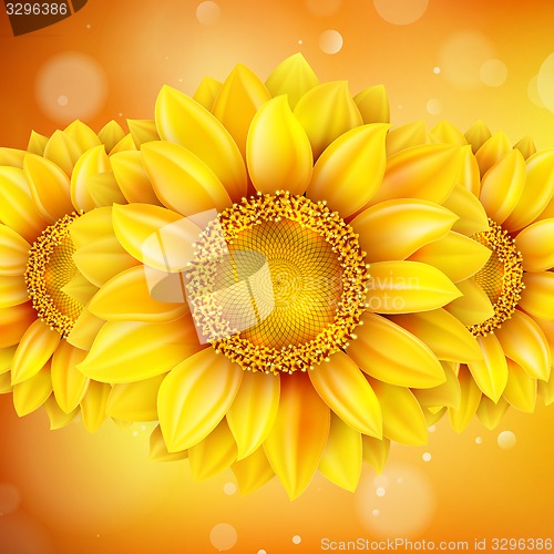Image of Macro SunFlower Background. EPS 10